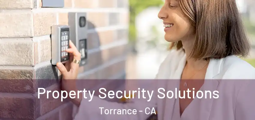 Property Security Solutions Torrance - CA